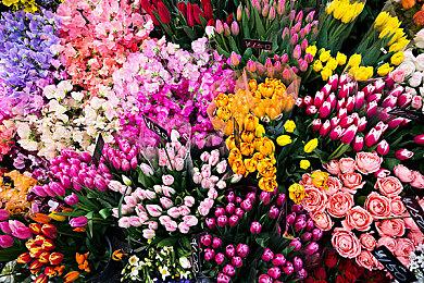 Steam今日特惠：《王国：两位君主》4折新史低